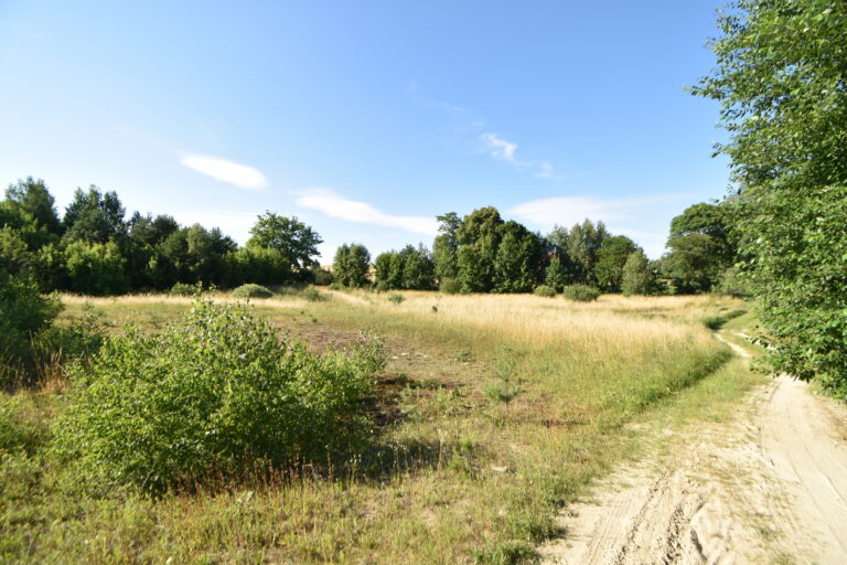Działki z warunkami zabudowy Zła Wieś – 3 936 m² różne powierzchnie.