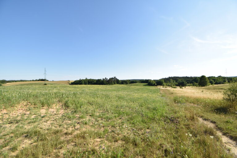 Działki z warunkami zabudowy Zła Wieś – 3 936 m² różne powierzchnie.
