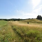 Działki z warunkami zabudowy Zła Wieś – 3 936 m² różne powierzchnie.