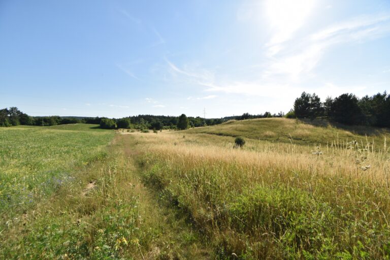 Działki z warunkami zabudowy Zła Wieś – 3 936 m² różne powierzchnie.
