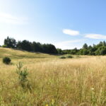 Działki z warunkami zabudowy Zła Wieś – 3 936 m² różne powierzchnie.
