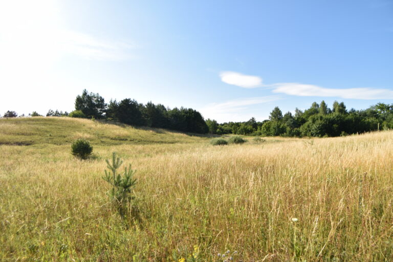 Działki z warunkami zabudowy Zła Wieś – 3 936 m² różne powierzchnie.