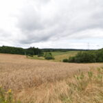 Działki z warunkami zabudowy Zła Wieś – 3 936 m² różne powierzchnie.