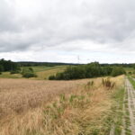 Działki z warunkami zabudowy Zła Wieś – 3 936 m² różne powierzchnie.