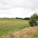 Działki z warunkami zabudowy Zła Wieś – 3 936 m² różne powierzchnie.