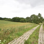 Działki z warunkami zabudowy Zła Wieś – 3 936 m² różne powierzchnie.